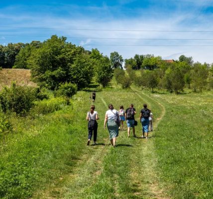 A group of people hiking in the lush, green countryside of Ribnjačka, Croatia on a sunny day.