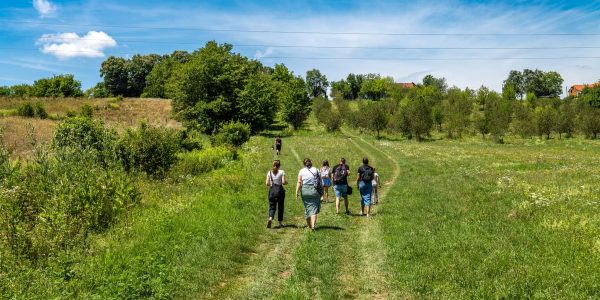 A group of people hiking in the lush, green countryside of Ribnjačka, Croatia on a sunny day.