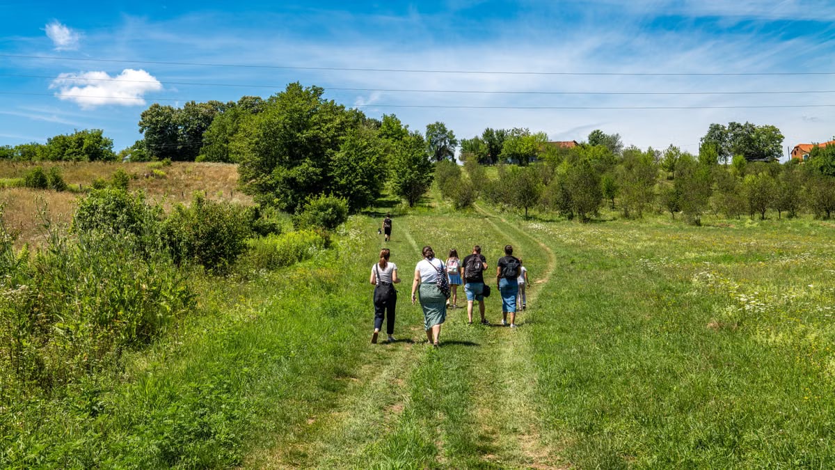 A group of people hiking in the lush, green countryside of Ribnjačka, Croatia on a sunny day.